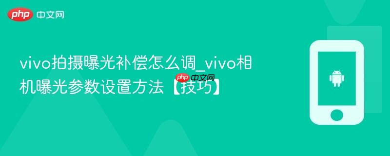 vivo拍摄曝光补偿怎么调_vivo相机曝光参数设置方法【技巧】