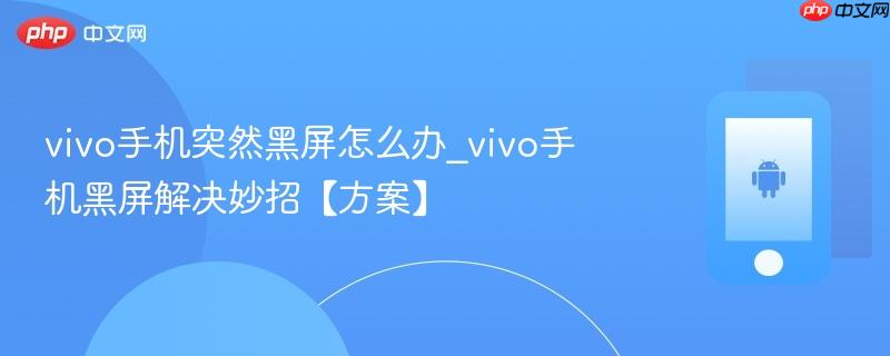 vivo手机突然黑屏怎么办_vivo手机黑屏解决妙招【方案】