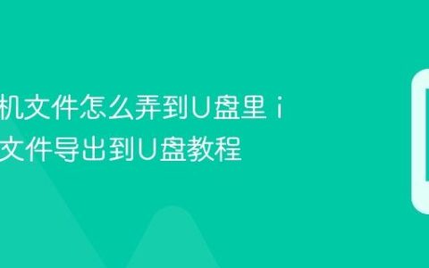 苹果手机文件怎么弄到U盘里 iPhone文件导出到U盘教程