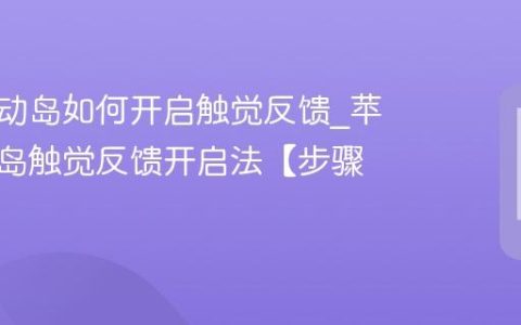 苹果灵动岛如何开启触觉反馈?苹果灵动岛触觉反馈开启法【步骤】