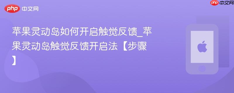 苹果灵动岛如何开启触觉反馈_苹果灵动岛触觉反馈开启法【步骤】