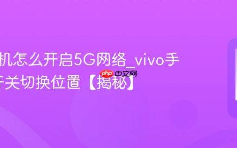 vivo手机怎么开启5G网络?vivo手机5G开关切换位置【揭秘】