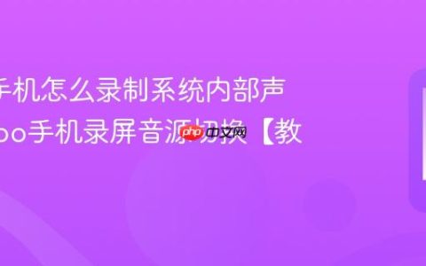 oppo手机怎么录制系统内部声音?oppo手机录屏音源切换【教程】