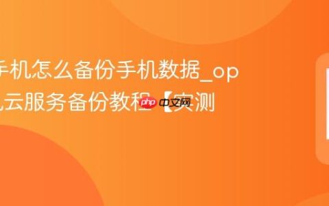 oppo手机怎么备份手机数据?oppo手机云服务备份教程【实测】