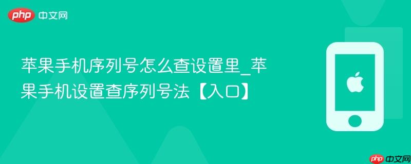 苹果手机序列号怎么查设置里_苹果手机设置查序列号法【入口】