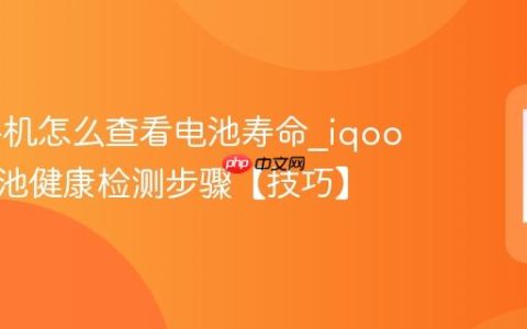 iqoo手机怎么查看电池寿命?iqoo手机电池健康检测步骤【技巧】