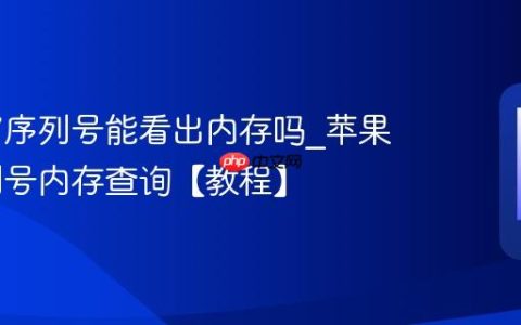 苹果17序列号能看出内存吗?苹果17序列号内存查询【教程】