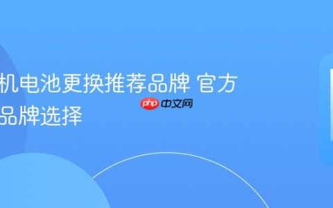 苹果手机电池更换推荐品牌 官方与优质品牌选择