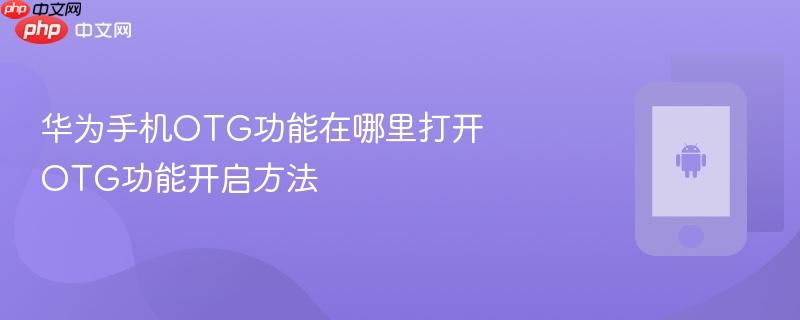 华为手机otg功能在哪里打开 otg功能开启方法