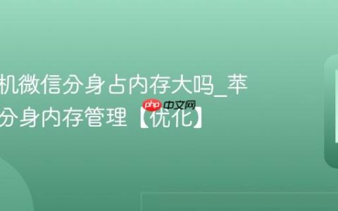 苹果手机微信分身占内存大吗?苹果手机分身内存管理【优化】