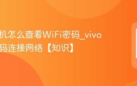 vivo手机怎么查看WiFi密码?vivo手机扫码连接网络【知识】
