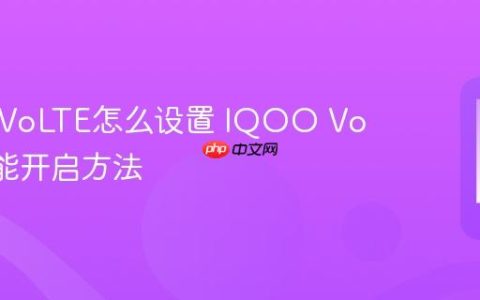 IQOOVoLTE怎么设置 IQOO VoLTE功能开启方法
