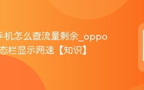 oppo手机怎么查流量剩余?oppo手机状态栏显示网速【知识】