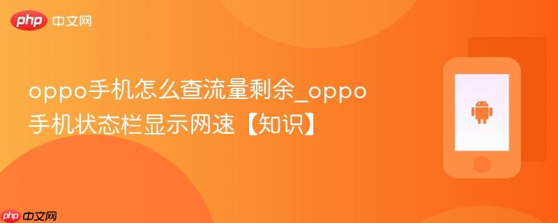 oppo手机怎么查流量剩余_oppo手机状态栏显示网速【知识】