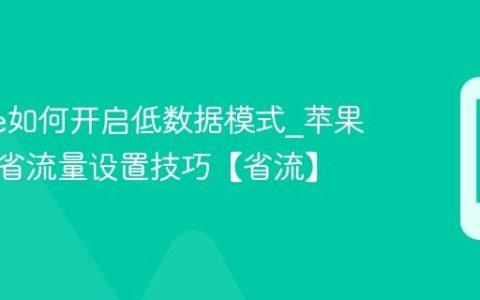 iphone如何开启低数据模式?苹果手机节省流量设置技巧【省流】
