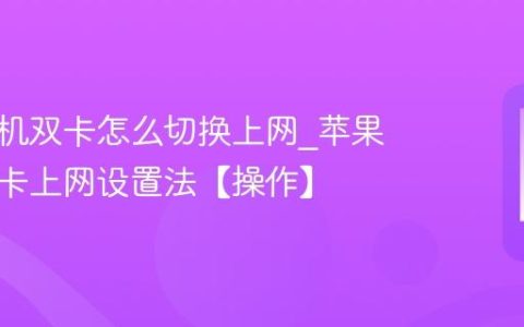 苹果手机双卡怎么切换上网?苹果手机双卡上网设置法【操作】