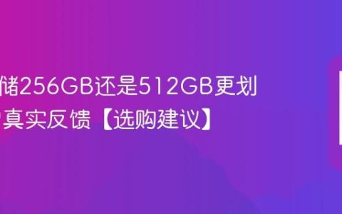 手机存储256GB还是512GB更划算 用户真实反馈【选购建议】