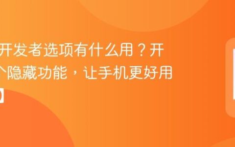 手机的开发者选项有什么用？开启这3个隐藏功能，让手机更好用【进阶】