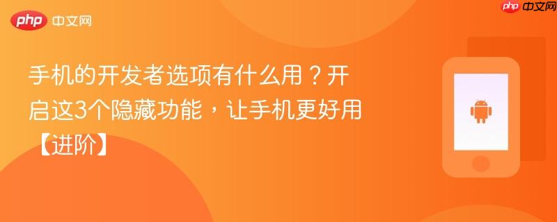 手机的开发者选项有什么用？开启这3个隐藏功能，让手机更好用【进阶】