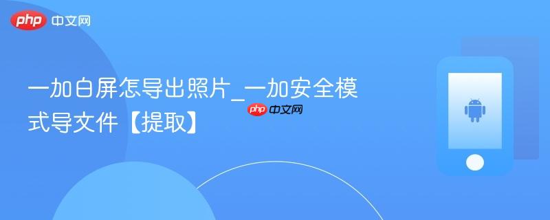 一加白屏怎导出照片_一加安全模式导文件【提取】