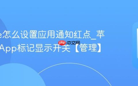 iphone怎么设置应用通知红点?苹果手机App标记显示开关【管理】