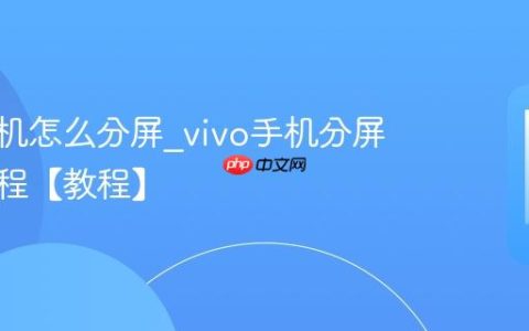 vivo手机怎么分屏?vivo手机分屏使用教程【教程】