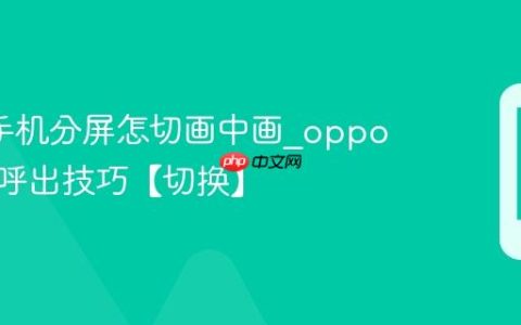 oppo手机分屏怎切画中画?oppo画中画呼出技巧【切换】