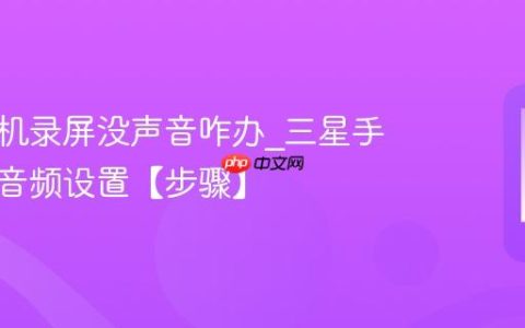 三星手机录屏没声音咋办?三星手机录屏音频设置【步骤】