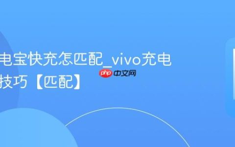 vivo充电宝快充怎匹配?vivo充电宝匹配技巧【匹配】