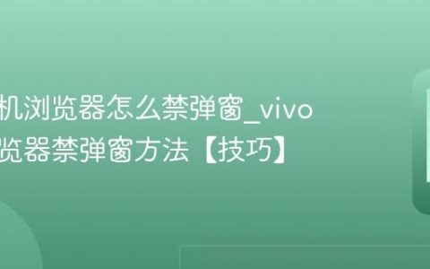 vivo手机浏览器怎么禁弹窗?vivo手机浏览器禁弹窗方法【技巧】