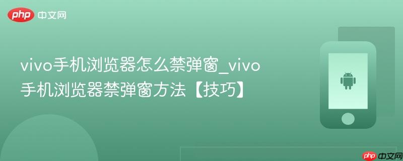 vivo手机浏览器怎么禁弹窗_vivo手机浏览器禁弹窗方法【技巧】