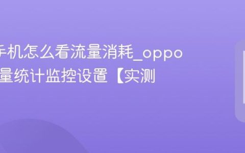 oppo手机怎么看流量消耗?oppo手机流量统计监控设置【实测】