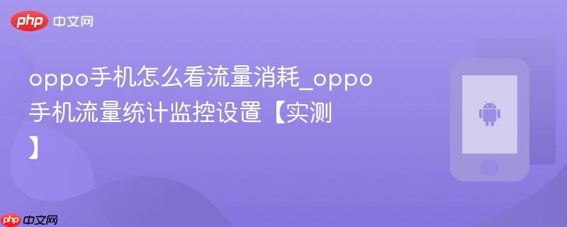 oppo手机怎么看流量消耗_oppo手机流量统计监控设置【实测】