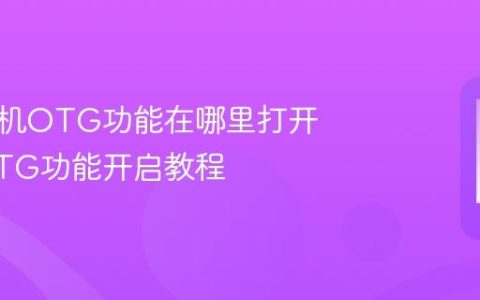 荣耀手机OTG功能在哪里打开 荣耀OTG功能开启教程
