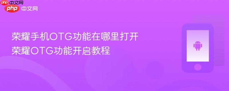 荣耀手机otg功能在哪里打开 荣耀otg功能开启教程
