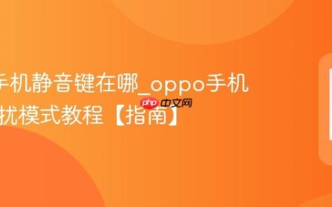 oppo手机静音键在哪?oppo手机开启勿扰模式教程【指南】