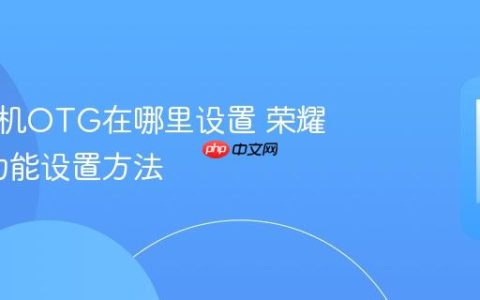 荣耀手机OTG在哪里设置 荣耀OTG功能设置方法