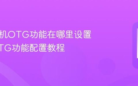 荣耀手机OTG功能在哪里设置 荣耀OTG功能配置教程