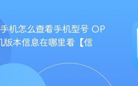OPPO手机怎么查看手机型号 OPPO手机版本信息在哪里看【信息】