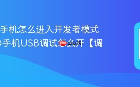 iQOO手机怎么进入开发者模式 iQOO手机USB调试怎么开【调试】