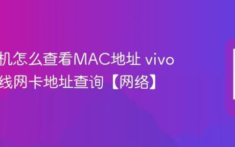 vivo手机怎么查看MAC地址 vivo手机无线网卡地址查询【网络】