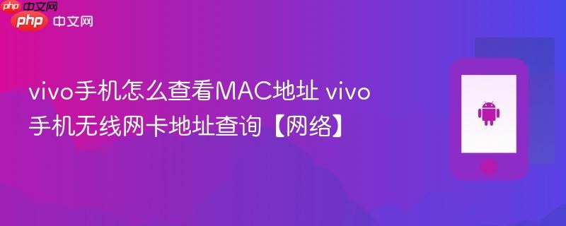 vivo手机怎么查看mac地址 vivo手机无线网卡地址查询【网络】