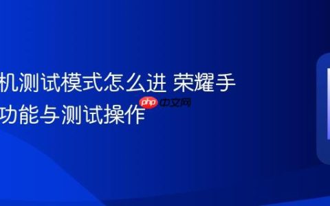 荣耀手机测试模式怎么进 荣耀手机隐藏功能与测试操作