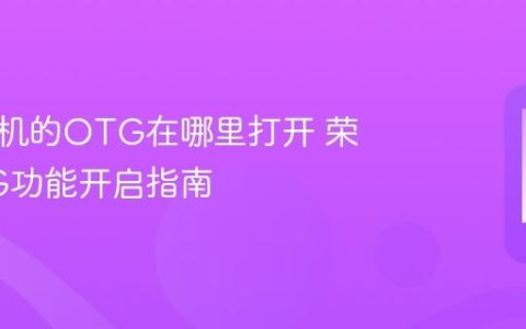 荣耀手机的OTG在哪里打开 荣耀OTG功能开启指南