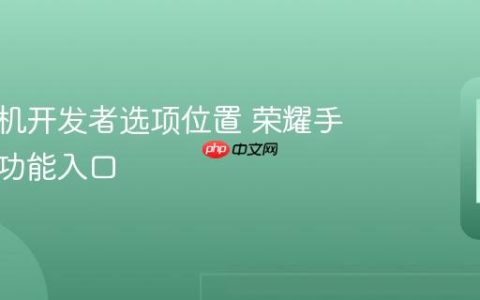 荣耀手机开发者选项位置 荣耀手机隐藏功能入口