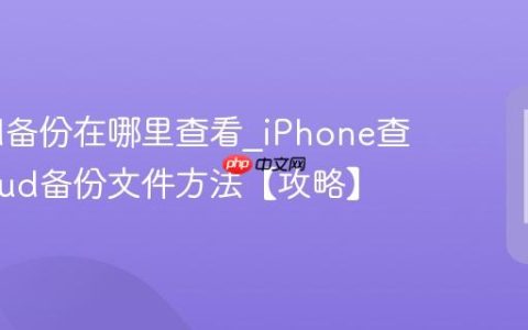 iCloud备份在哪里查看?iPhone查看iCloud备份文件方法【攻略】