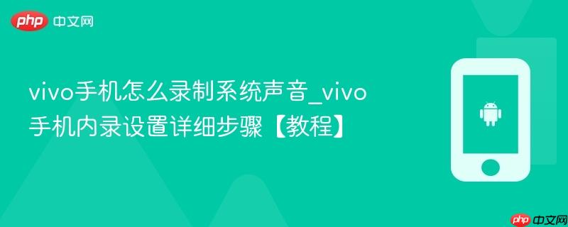 vivo手机怎么录制系统声音_vivo手机内录设置详细步骤【教程】