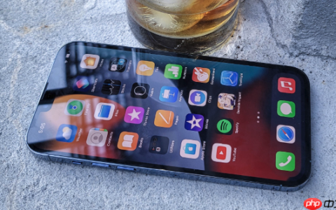 苹果手机屏幕出现绿线怎么办?iPhone屏幕异常解决