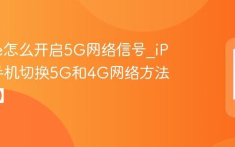 iPhone怎么开启5G网络信号?iPhone手机切换5G和4G网络方法【网络】