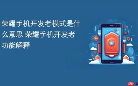 荣耀手机开发者模式是什么意思 荣耀手机开发者功能解释